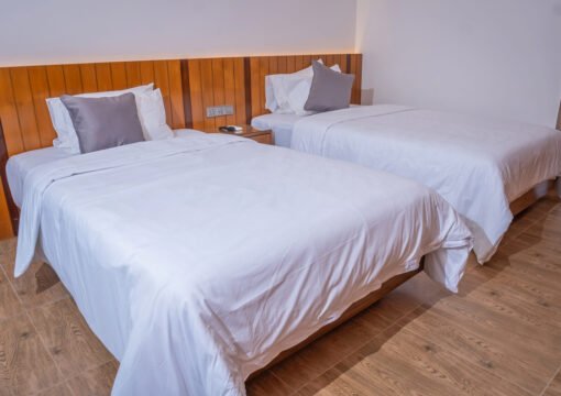 Twin Suite /Couple Suite